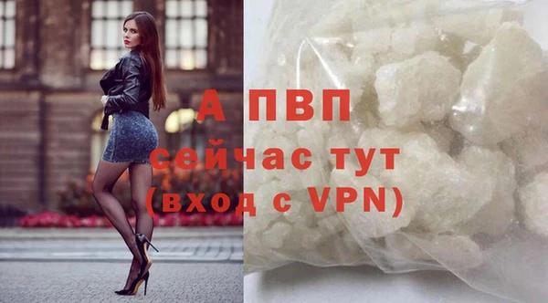 эйфоретик Арсеньев