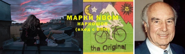 индика Аркадак