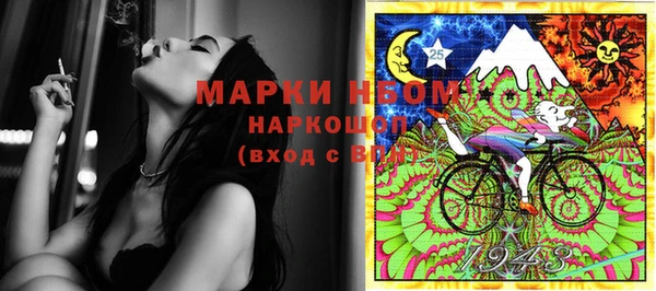 индика Аркадак