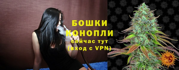 тгк Белокуриха