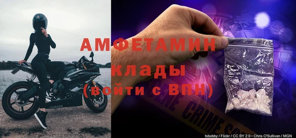 индика Аркадак